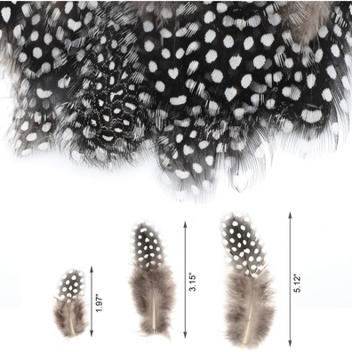 Feathers